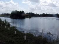 Pier built on private pond with 3 in. PVC pipe for post
