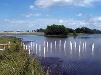 Pier built on private pond with 3 in. PVC pipe for post
