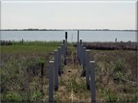 New pier construction on the bay