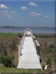 New pier construction on the bay